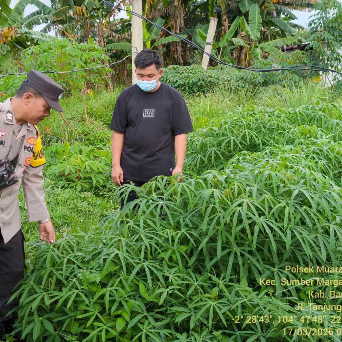 BHABINKAMTIBMAS POLSEK MUARA TELANG GERAKKAN MASYARAKAT DUKUNG SWASEMBADA PANGAN
