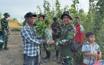 Yonif 883 TP/TA: Pertahanan dan Pemberdayaan Jalan Beriring