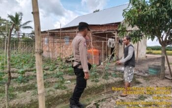 BHABINKAMTIBMAS POLSEK MUARA PADANG GERAKKAN MASYARAKAT MENUJU SWASEMBADA PANGAN DI DESA REJOSARI