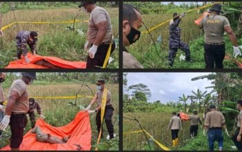 Mayat Perempuan Membusuk Ditemukan di Pinggir Sawah Banyuasin, Diduga ODGJ
