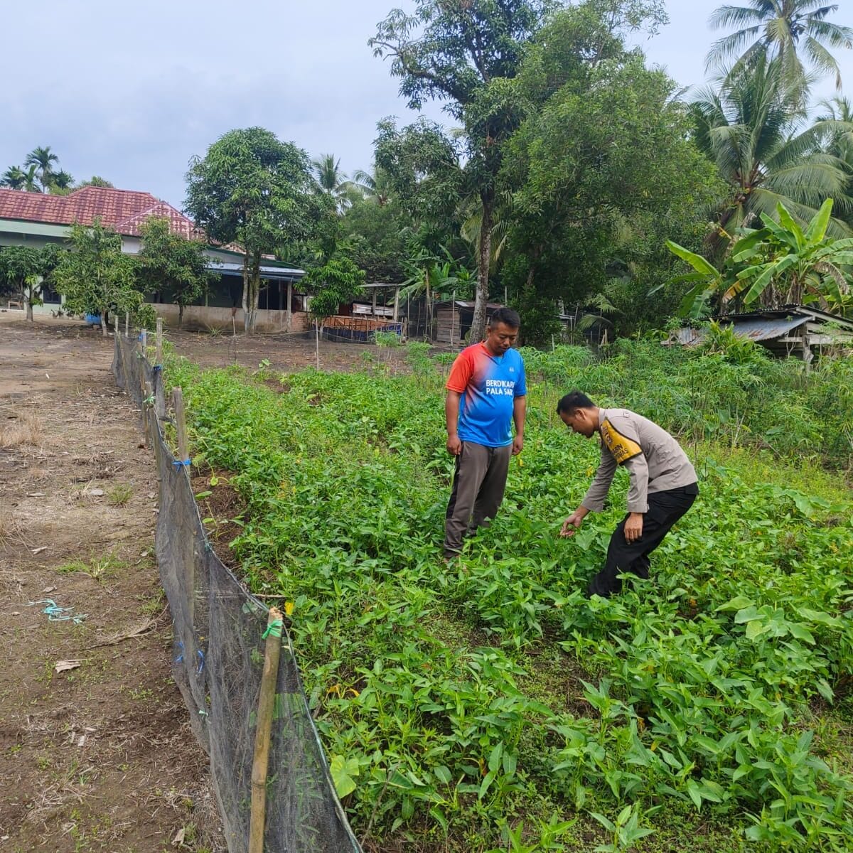 Bhabinkamtibmas Polsek Makarti Jaya Gerakkan Masyarakat Dukung Swasembada Pangan di Delta Upang