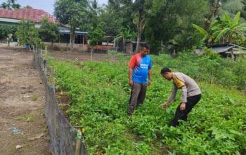 Bhabinkamtibmas Polsek Makarti Jaya Gerakkan Masyarakat Dukung Swasembada Pangan di Delta Upang
