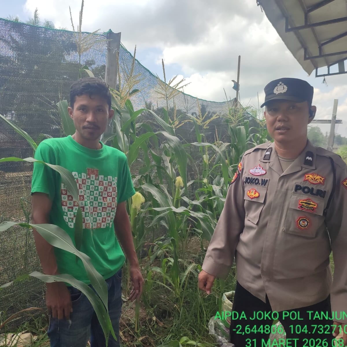 Bhabinkamtibmas Polsek Tanjung Lago Gencar Sosialisasi P2B Dukung Swasembada Pangan Nasional