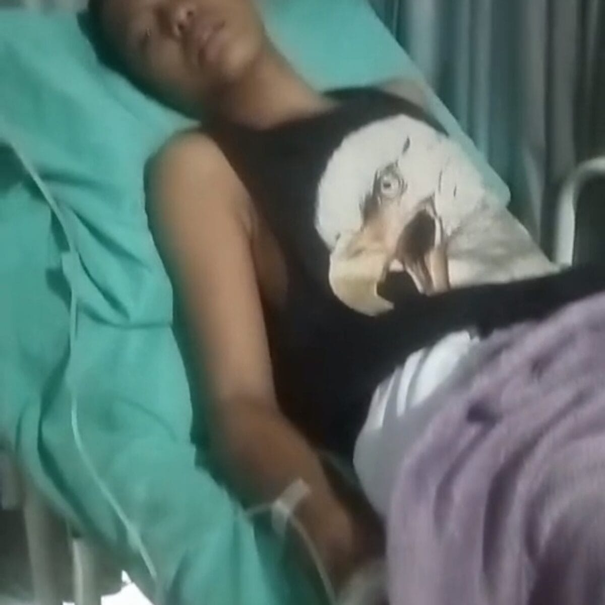 Dugaan Penganiayaan Anak 15 Tahun di Banyuasin Dikuasakan ke LBH Garda Kencana, Saksi-Saksi Konfirmasi Kejadian