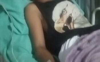 Dugaan Penganiayaan Anak 15 Tahun di Banyuasin Dikuasakan ke LBH Garda Kencana, Saksi-Saksi Konfirmasi Kejadian