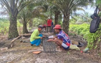 Masyarakat Antusias Gotong Royong Bangun Jembatan Garuda