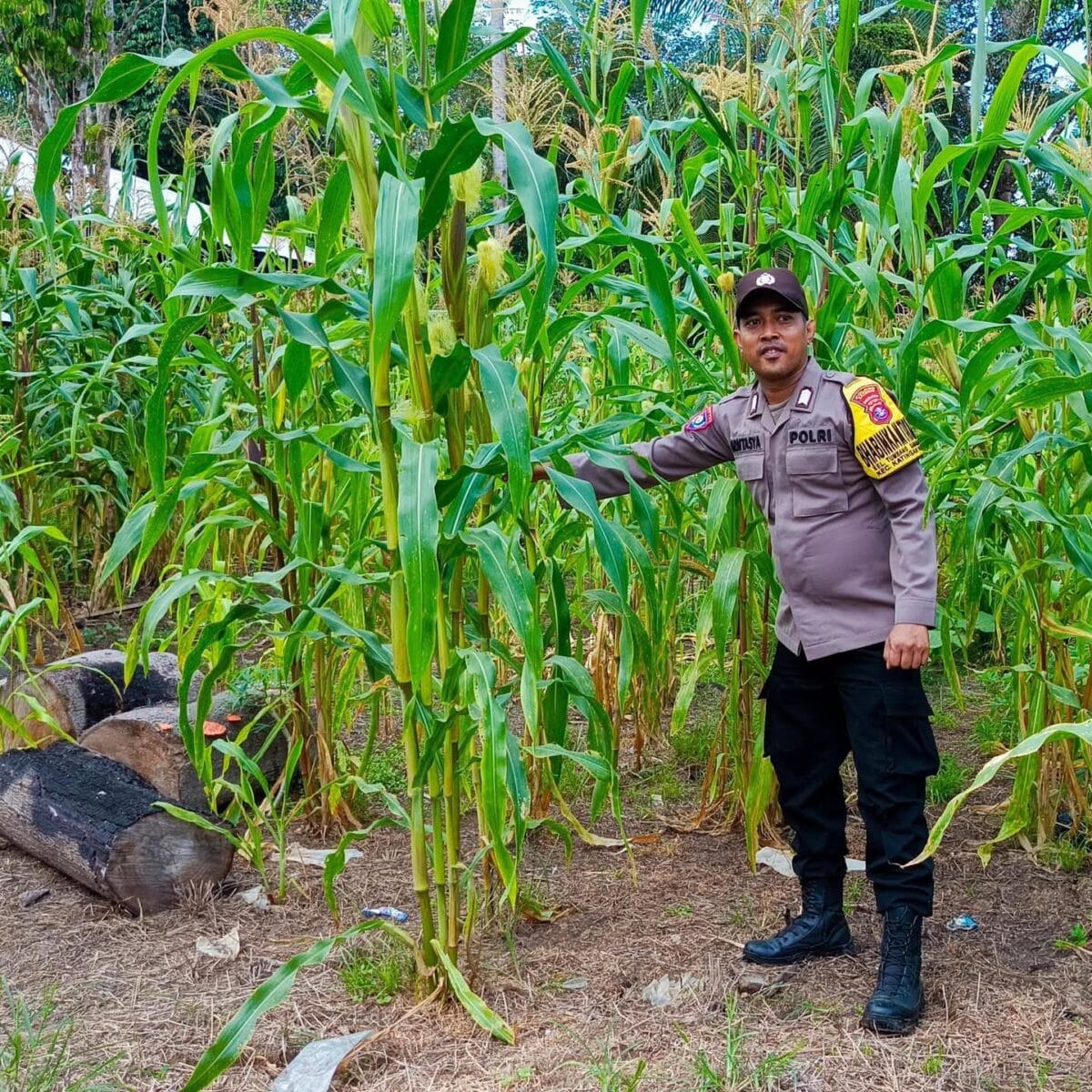 ‎Mendukung Ketahanan Pangan, Personil Polsek Katingan Hulu Cek Lokasi Pemanfaatan Pekarangan Warga