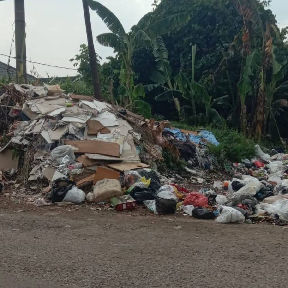 Bak Sampah Rimba Raya Sangkiong Terancam Ditutup Permanen, Warga Resah Tanpa Solusi Jelas