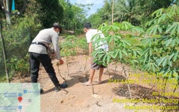 Aipda Erwin Saputra: Polisi Penggerak di Balik Kesuburan Lahan Perkarangan Rumah di Banyuasin
