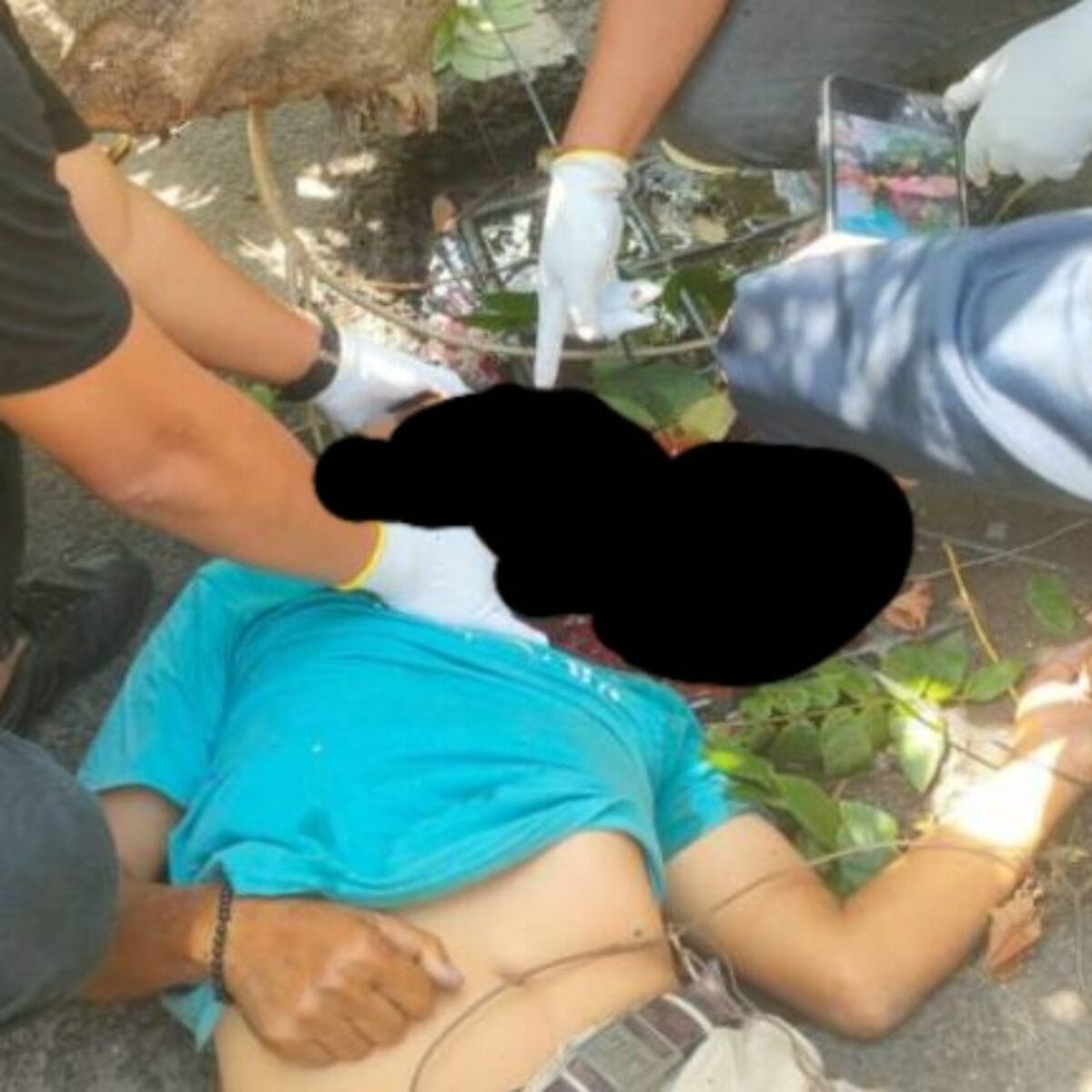 Pengemudi Ojek Online Tewas Tertimpa Pohon Tumbang di Depan Samsat Palembang