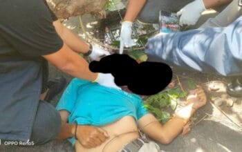 Pengemudi Ojek Online Tewas Tertimpa Pohon Tumbang di Depan Samsat Palembang