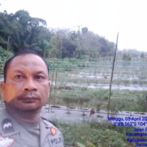 Bhabinkamtibmas Polsek Rambutan Aktif Rawat Tanaman Cabai untuk Dukung Ketahanan Pangan
