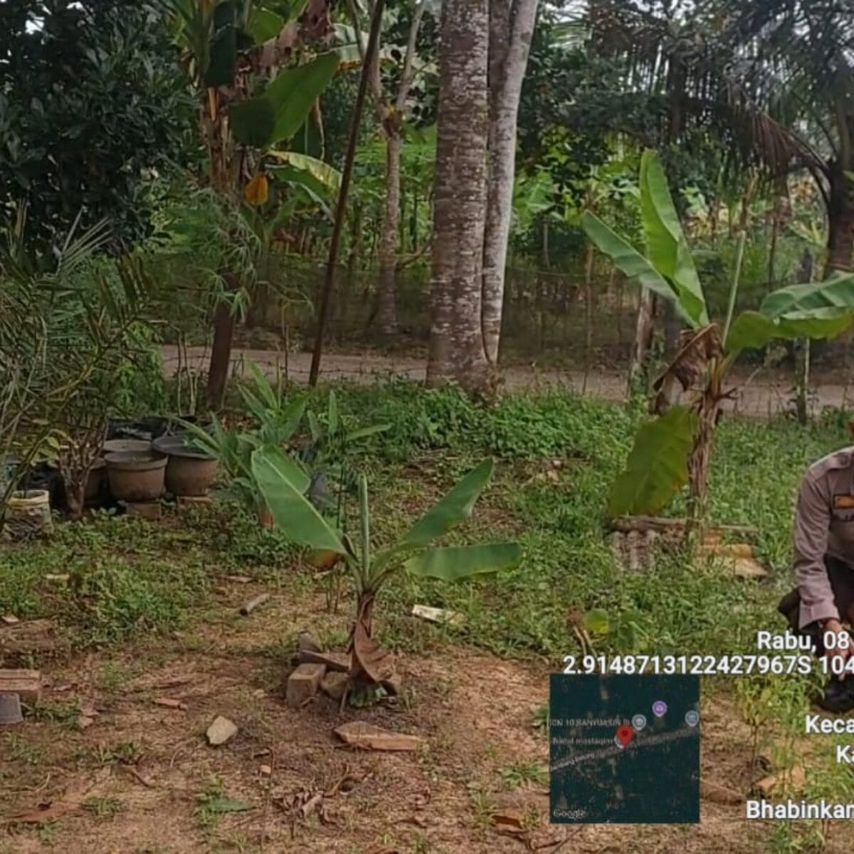 Bhabinkamtibmas Polsek Pangkalan Balai Gerakkan Warga Desa Pelajau Dukung Program Swasembada Pangan Presiden