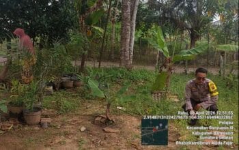 Bhabinkamtibmas Polsek Pangkalan Balai Gerakkan Warga Desa Pelajau Dukung Program Swasembada Pangan Presiden