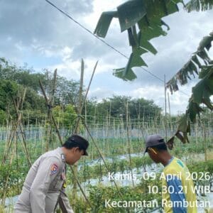 Bhabinkamtibmas Polsek Rambutan Gerakkan Warga Desa Durian Gadis Dukung Swasembada Pangan Nasional