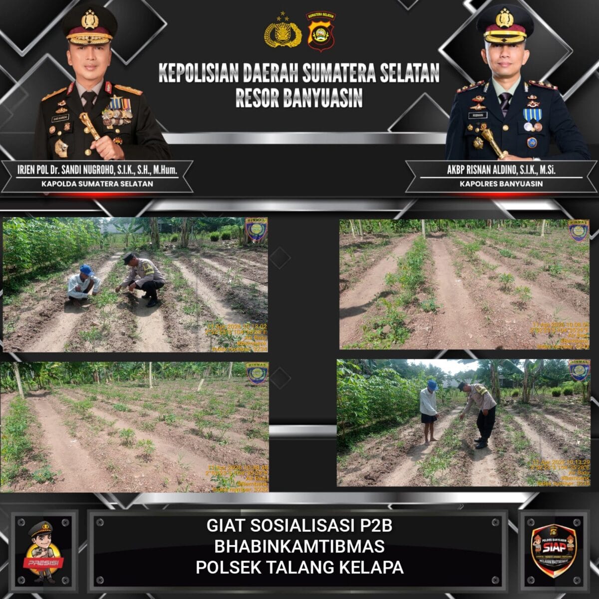 Bhabinkamtibmas Polsek Talang Kelapa Gerakkan P2B, Dukung Ketahanan Pangan Menuju Indonesia Emas 2045