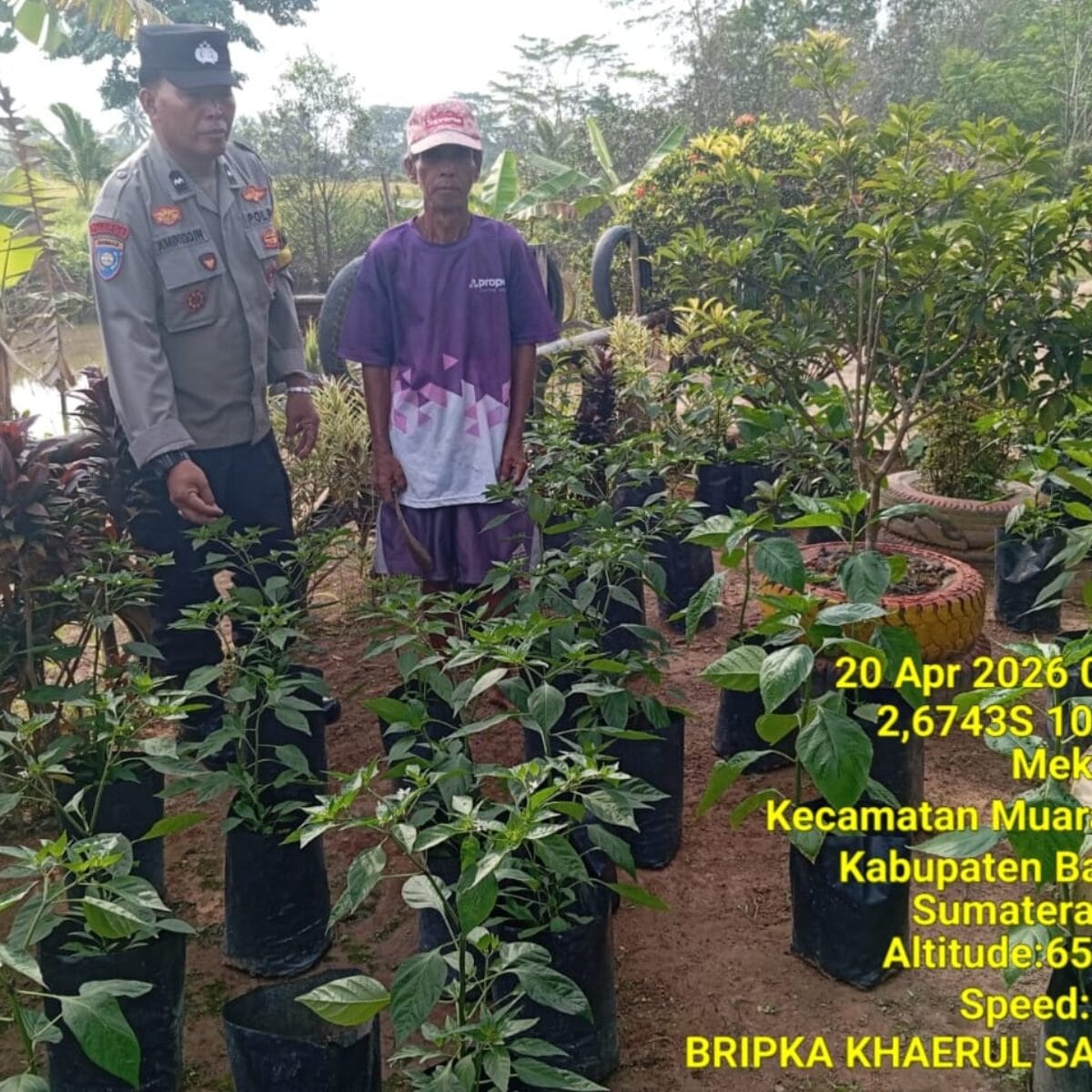 Bhabinkamtibmas Muara Telang Gerakkan Wujudkan Swasembada Pangan di Desa Telang Jaya