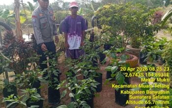 Bhabinkamtibmas Muara Telang Gerakkan Wujudkan Swasembada Pangan di Desa Telang Jaya