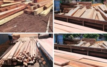 Viral:Tumpukan Kayu Diduga Ilegal di Balai Berkuak Jadi Sorotan Publik.