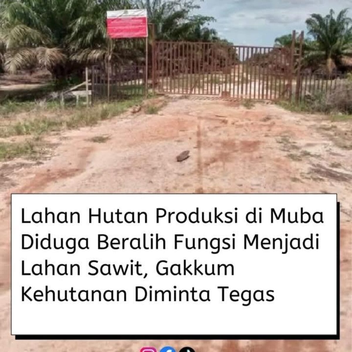 Skandal Sawit di Hutan Produksi Muba: Progan Sentil Aparat Lemah, Negara Rugi Miliaran