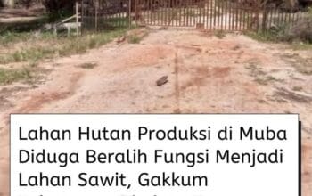 Skandal Sawit di Hutan Produksi Muba: Progan Sentil Aparat Lemah, Negara Rugi Miliaran