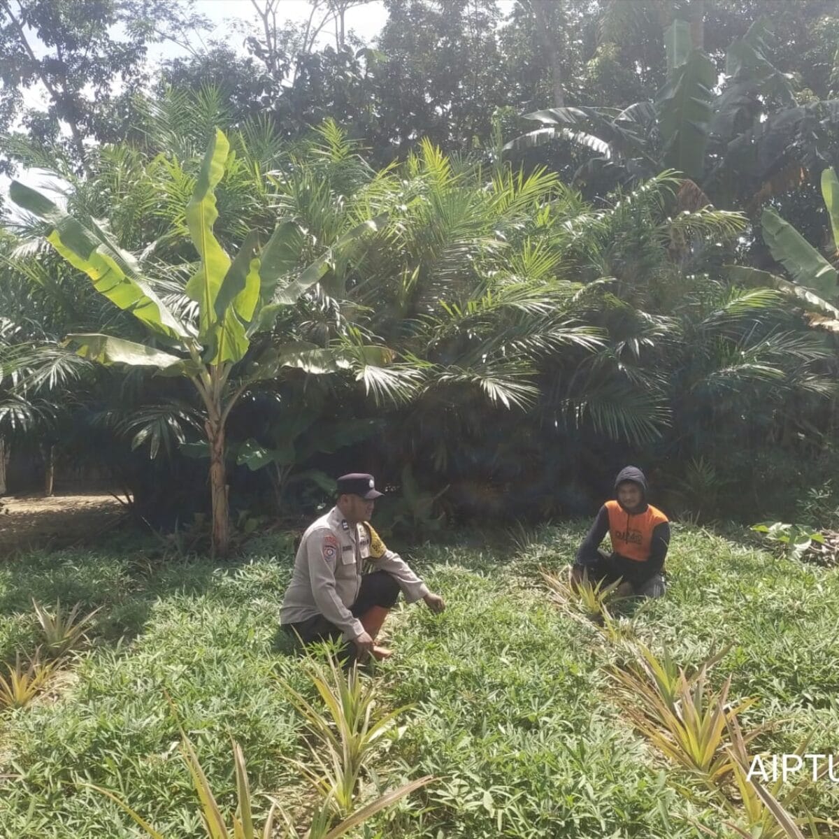 Bhabinkamtibmas Polsek Tungkal Ilir Gerakkan Masyarakat Dukung Swasembada Pangan Nasional