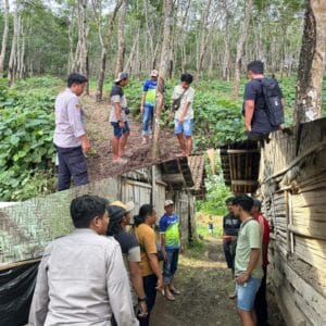 Satreskrim Polresta Banyuwangi Berhasil Bongkar Kasus Curanmor Sapi dan Penadahan di Glenmore