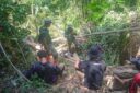 pembalakan liar di twa mangolo