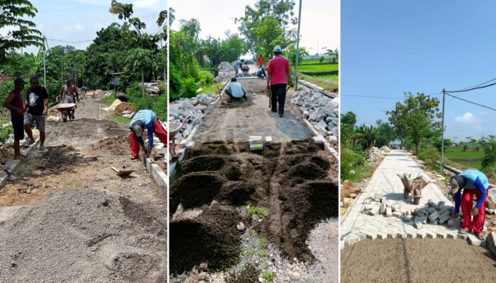 Pavingisasi jalan desa