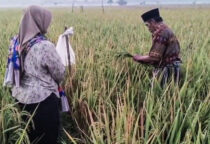Upacara tradisi methil