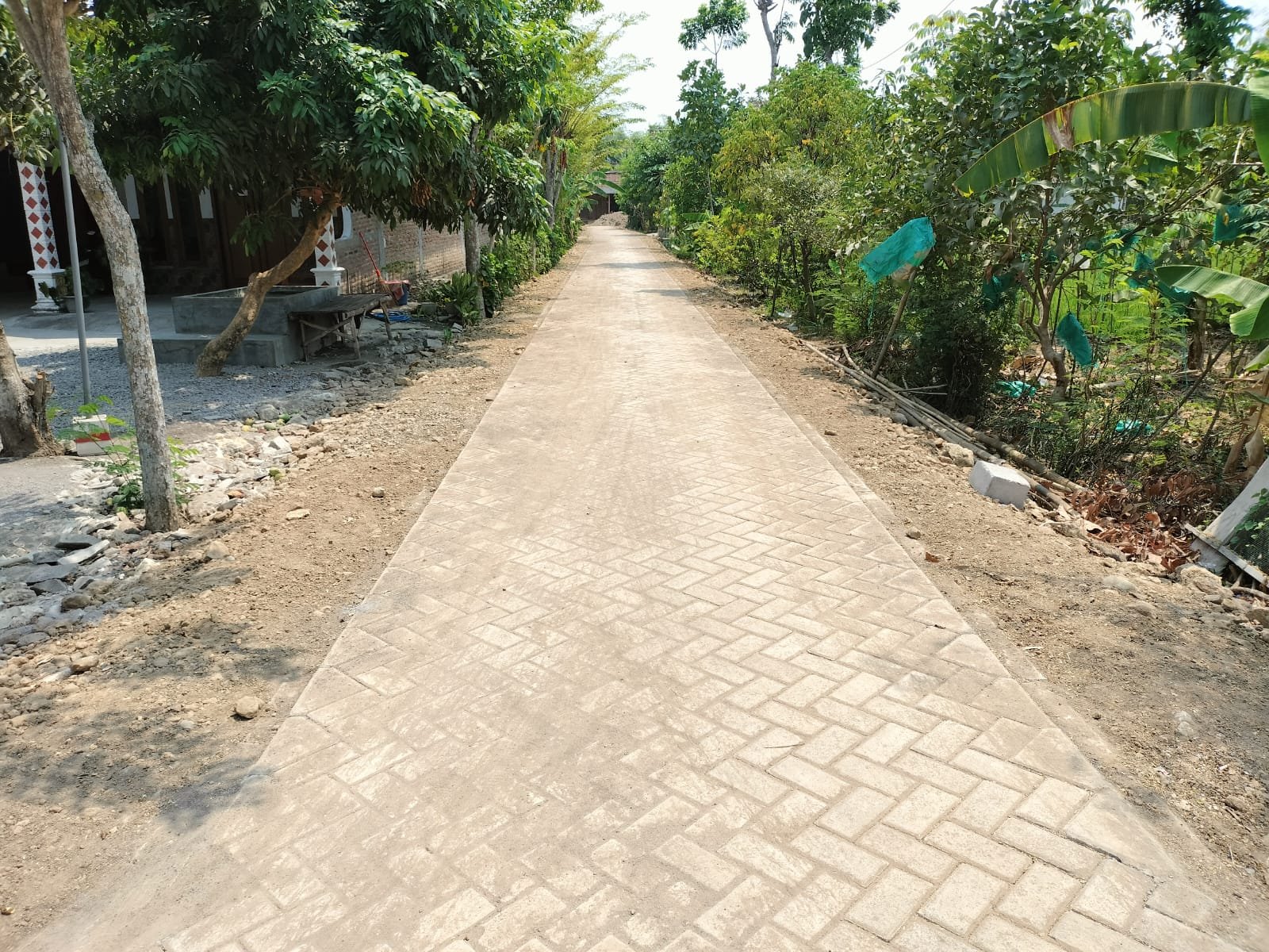 Pavingisasi jalan desa