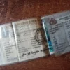 pemutihan pajak