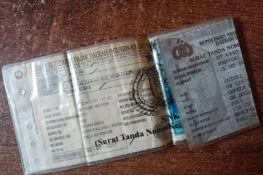 pemutihan pajak